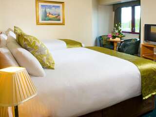 Отель Creggan Court Hotel Атлон Двухместный номер с 1 кроватью или 2 отдельными кроватями для одноместного размещения-2