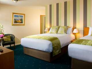 Отель Creggan Court Hotel Атлон Двухместный номер с 1 кроватью или 2 отдельными кроватями для одноместного размещения-4