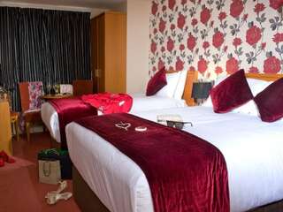 Отель Creggan Court Hotel Атлон Двухместный номер с 1 кроватью или 2 отдельными кроватями для одноместного размещения-5