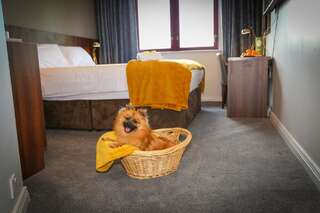 Отель Creggan Court Hotel Атлон Улучшенный двухместный номер с 1 кроватью-3